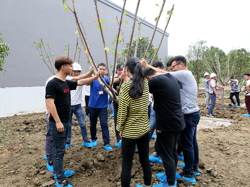 7员工种植web.jpg 7员工种植web.jpg